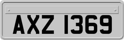 AXZ1369