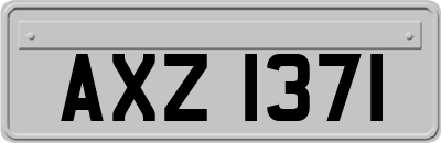 AXZ1371