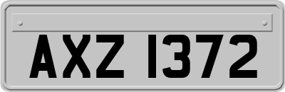 AXZ1372