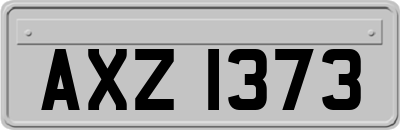 AXZ1373