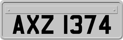 AXZ1374