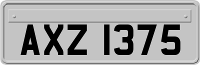 AXZ1375