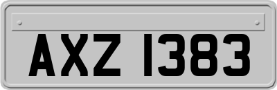 AXZ1383