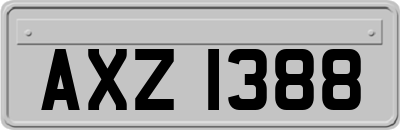AXZ1388