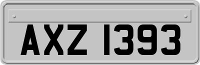 AXZ1393