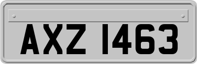 AXZ1463