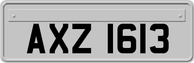 AXZ1613
