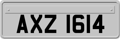 AXZ1614