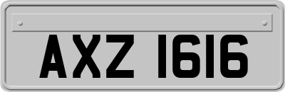 AXZ1616
