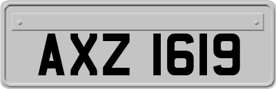 AXZ1619