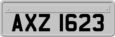 AXZ1623