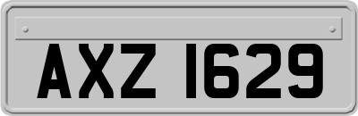 AXZ1629