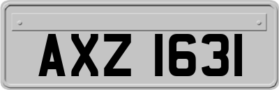 AXZ1631