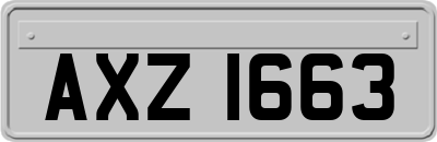 AXZ1663
