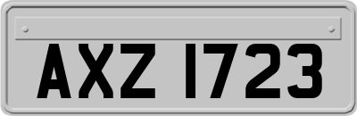 AXZ1723