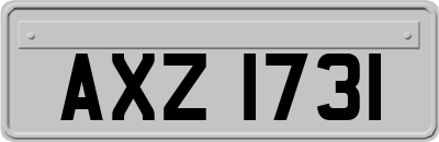 AXZ1731