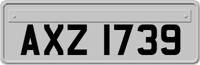 AXZ1739