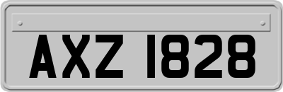AXZ1828