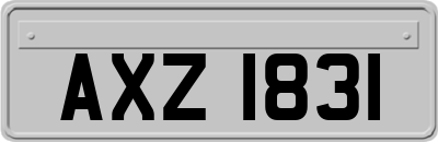 AXZ1831