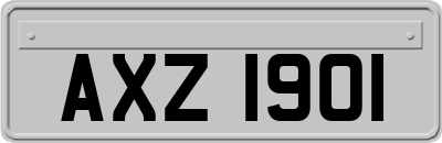 AXZ1901