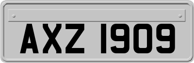 AXZ1909