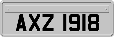 AXZ1918