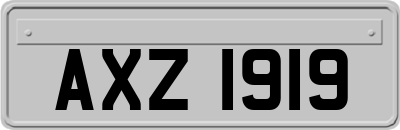 AXZ1919