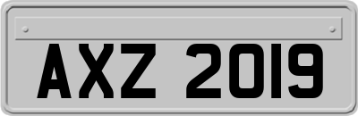 AXZ2019