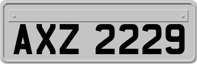 AXZ2229