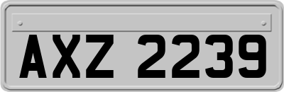 AXZ2239
