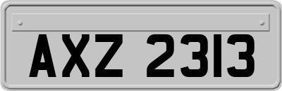 AXZ2313