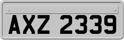 AXZ2339