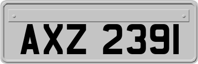 AXZ2391