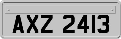 AXZ2413