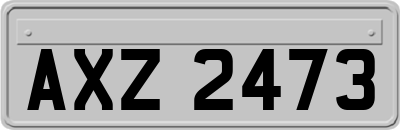 AXZ2473