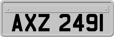 AXZ2491
