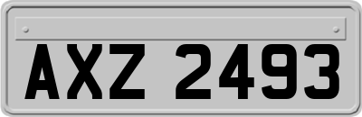 AXZ2493