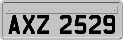 AXZ2529