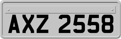 AXZ2558