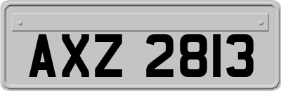 AXZ2813