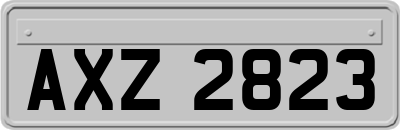AXZ2823