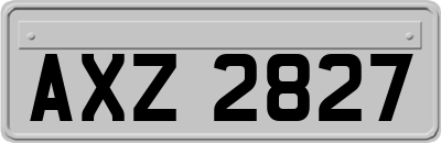 AXZ2827
