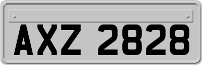 AXZ2828