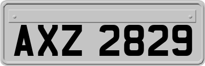 AXZ2829