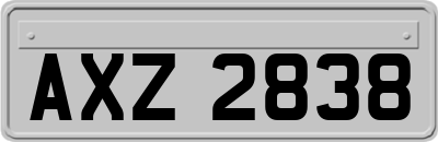 AXZ2838