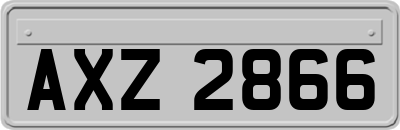 AXZ2866