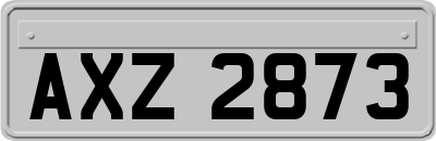 AXZ2873