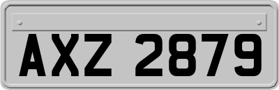 AXZ2879