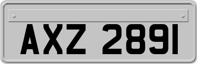 AXZ2891