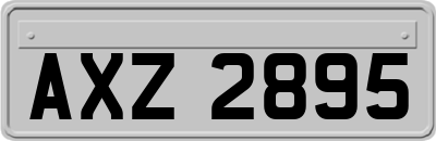 AXZ2895
